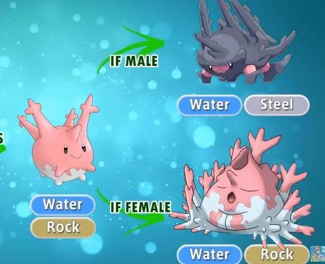 当神奇宝贝学会了新的进化，进化后的土龙弟弟终于能扬眉吐气了！