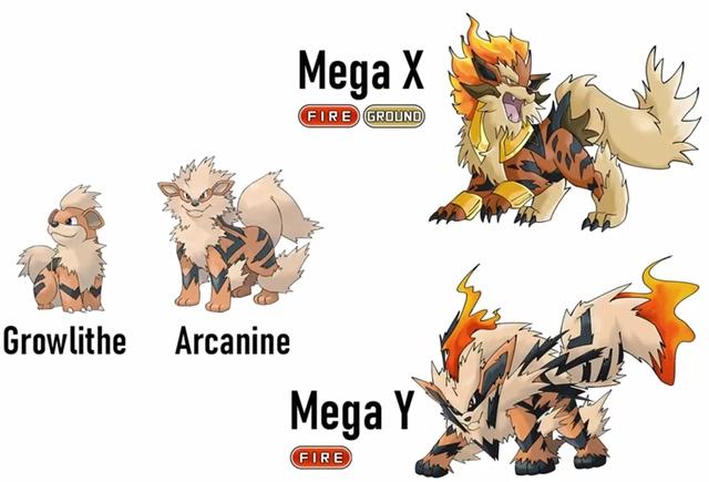 宝可梦X/YMage进化形态，胡地修仙状态带火属性，怪力成世界冠军