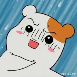 如果只能带一件东西穿越异世界，你的选择是？