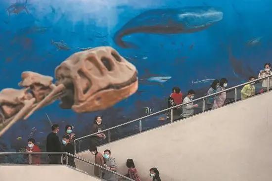 福建创新模式讲好文物背后故事把博物馆文化带回家