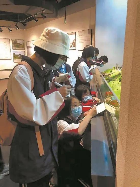 福建创新模式讲好文物背后故事把博物馆文化带回家