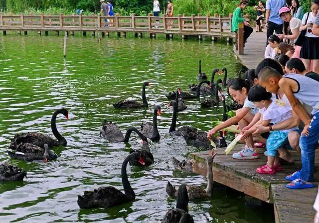 福建育儿假落地！这份「厦门遛娃宝藏地清单」请收好！