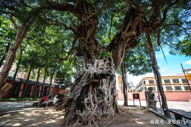 广东南澳岛美成一幅画，可你知道吗？过去这里竟然是强盗窝？