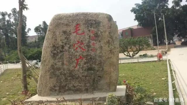 不只有网红合唱团，厦门之美最是少年美！