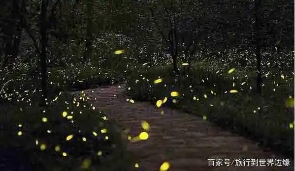 到厦门游玩，你一定要去的5处地方