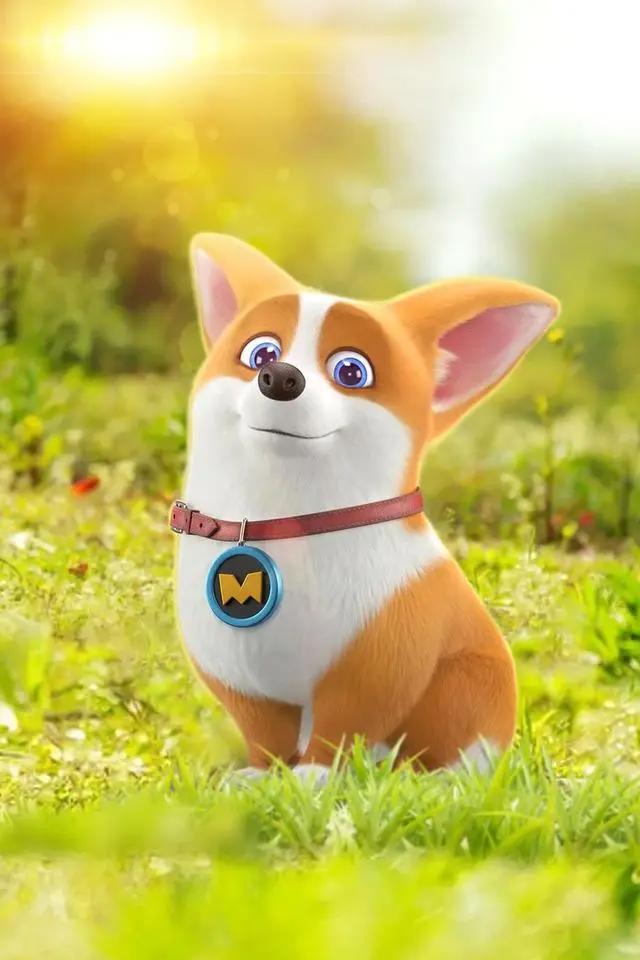 《飞狗MOCO》那只屁股上有颗爱心的短腿小柯基在家嘛？