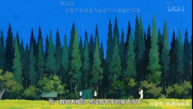 没太看懂的新番《漂流少年》，但是好上头啊