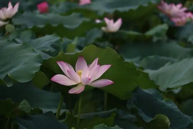 有福利！这个五一，我就在广州不走了~