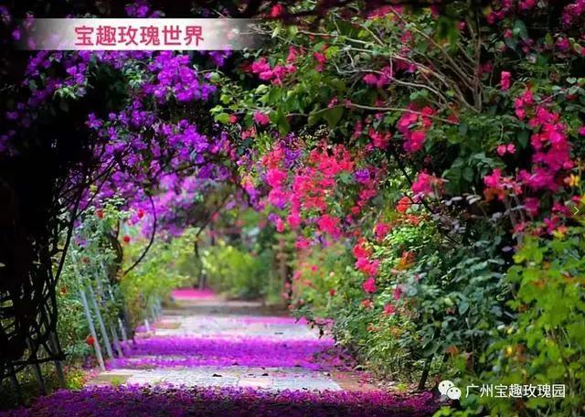 有福利！这个五一，我就在广州不走了~