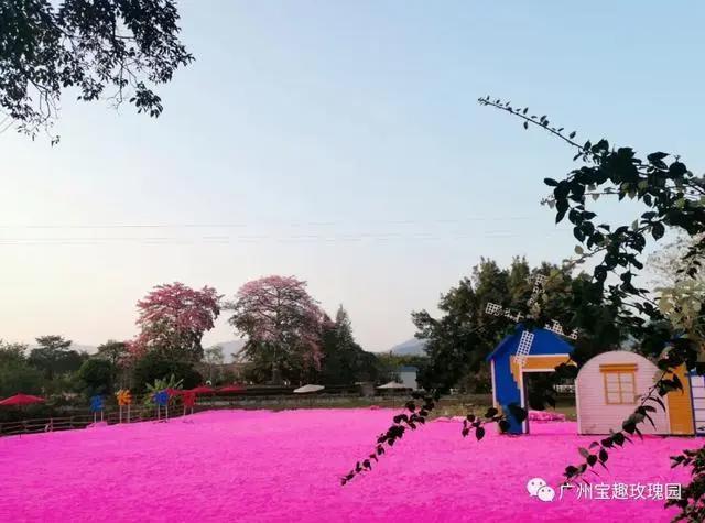 有福利！这个五一，我就在广州不走了~