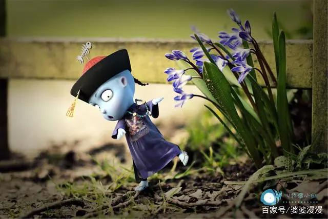 你我注定在这里相遇，另类呆萌的小僵尸，叫我僵小鱼