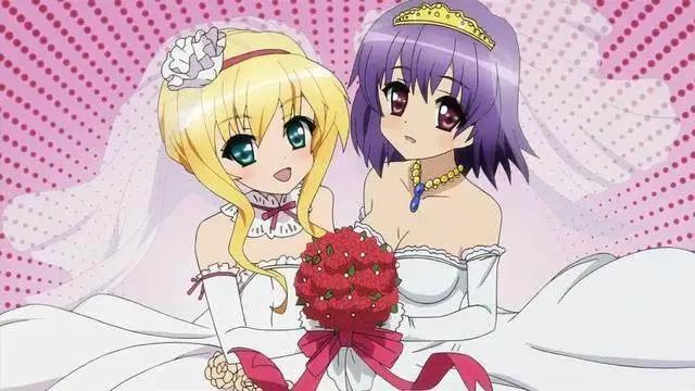 动漫：看了多年的后宫番，你们心中的老婆是哪个？