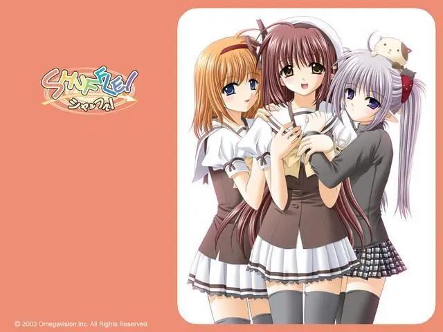 动漫：追过这些后宫番的人，必定是个老宅男！