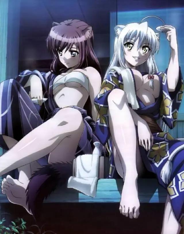 这些后宫漫你都看过吗？没看过你就Out了！