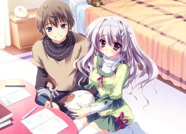 这几部动漫画质精美，每一部福利都很足！