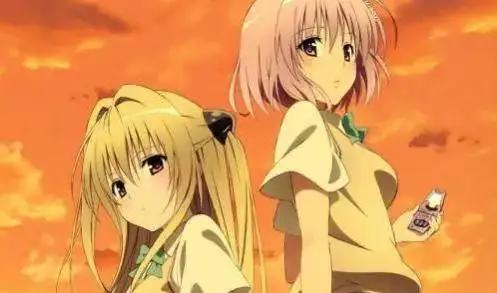 动漫：这些后宫番男主倒贴的都不要？浪费！