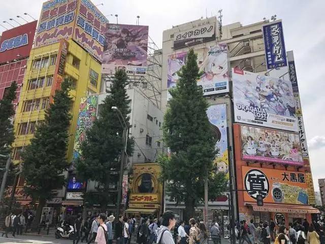 各色同人本！逛了一圈秋叶原回来，我已经无法直视玛修了