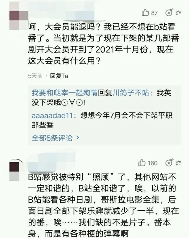 近日b站下架近百部动漫剧番，最后的二次元之地也不放过？