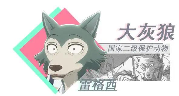 《动物狂想曲》你很少见动漫，看了大家都说不错