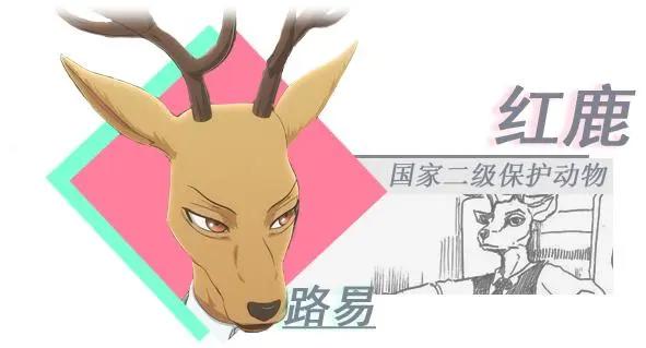 《动物狂想曲》你很少见动漫，看了大家都说不错