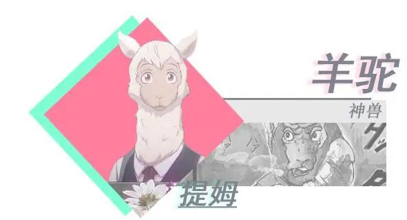 《动物狂想曲》你很少见动漫，看了大家都说不错