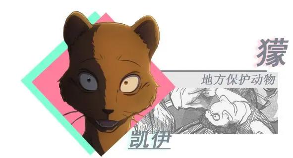 《动物狂想曲》你很少见动漫，看了大家都说不错