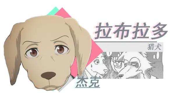 《动物狂想曲》你很少见动漫，看了大家都说不错