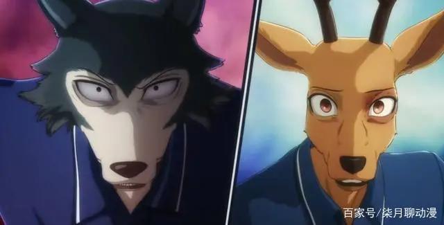 动物狂想曲：惊现四角恋！动物世界的青春校园恋爱剧！