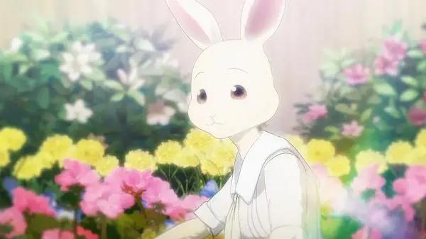 动漫《动物狂想曲》凭什么得到豆瓣9.3