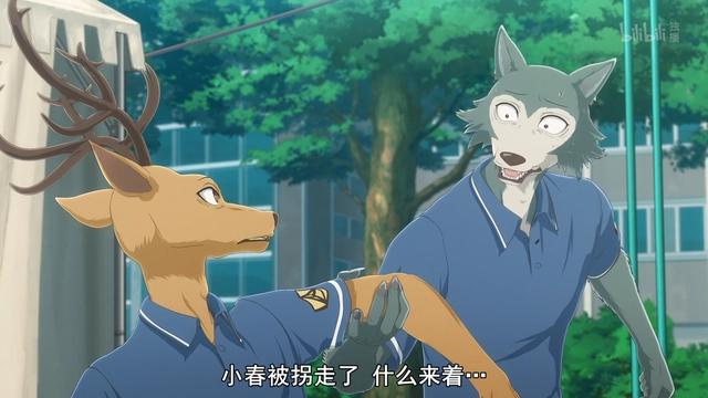 动物狂想曲：在最无力的年纪，遇上一个自己最想保护一生的那个她