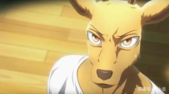 《动物狂想曲》漫画完结，动画第二季定档，它也能安稳完结吗？