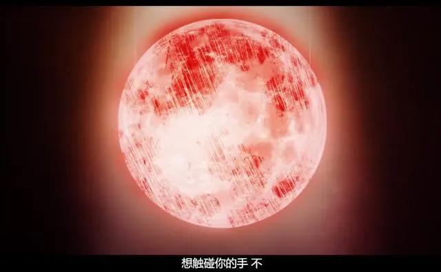 三大关键词深度解读《动物狂想曲》