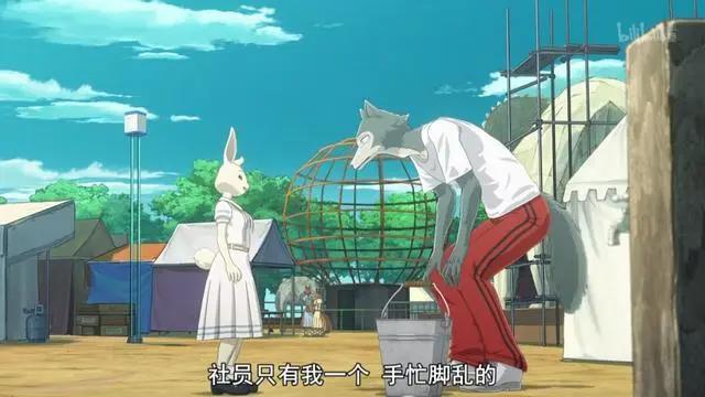 动物狂想曲豆瓣9.3，这部车速飞快的成人向动漫，不止于两性关系