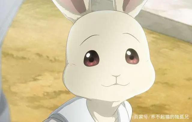 绝不能错过的新番动漫《动物狂想曲》感受拟人化的乌托邦世界