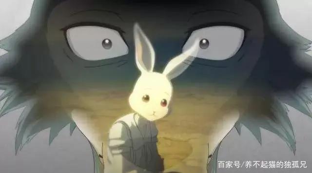 绝不能错过的新番动漫《动物狂想曲》感受拟人化的乌托邦世界