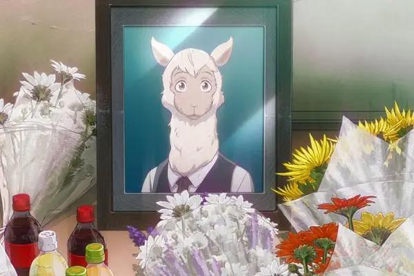 《动物狂想曲》从少年漫转为青年漫，只因兔子撩了狼