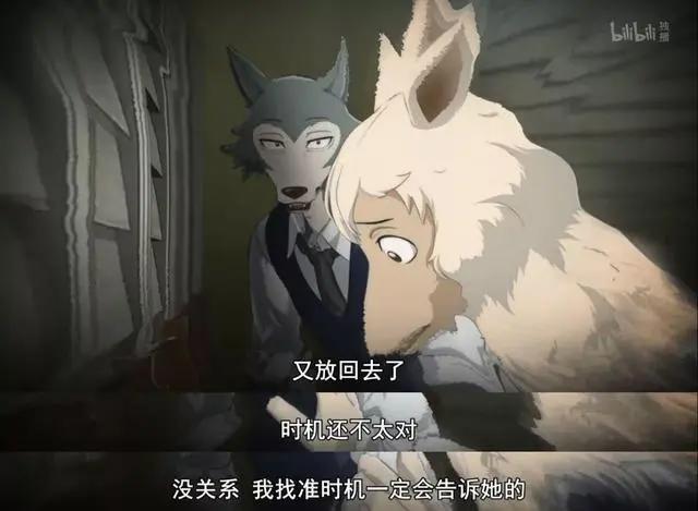 全程高能的成人动画《动物狂想曲》，一部折射人性的动物群像剧