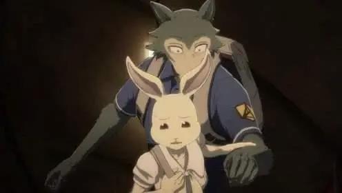 全程高能的成人动画《动物狂想曲》，一部折射人性的动物群像剧