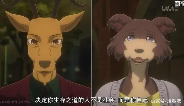 《动物狂想曲》：这是一部车速飞快，CP大乱炖的小甜番