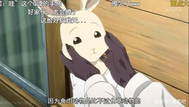 《动物狂想曲》：这是一部车速飞快，CP大乱炖的小甜番