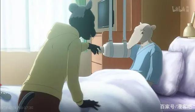 《动物狂想曲》：这是一部车速飞快，CP大乱炖的小甜番