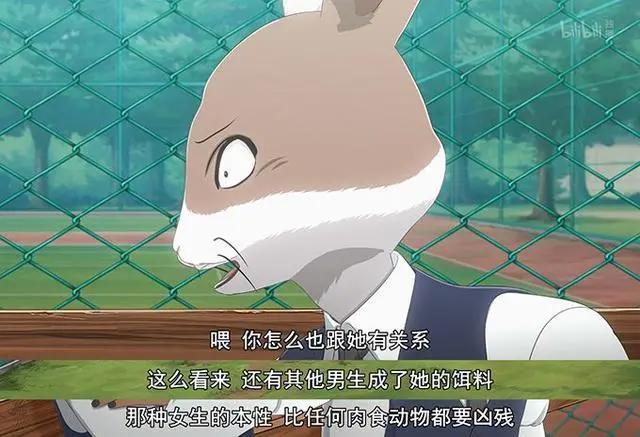 秋季最强动漫新番《动物狂想曲》，一集比一集凶猛，坐等封神