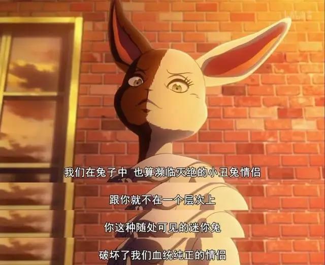 秋季最强动漫新番《动物狂想曲》，一集比一集凶猛，坐等封神