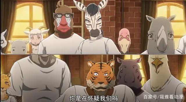风评被害的宝藏番？《动物狂想曲BEASTARS》，表示有被惊艳到！