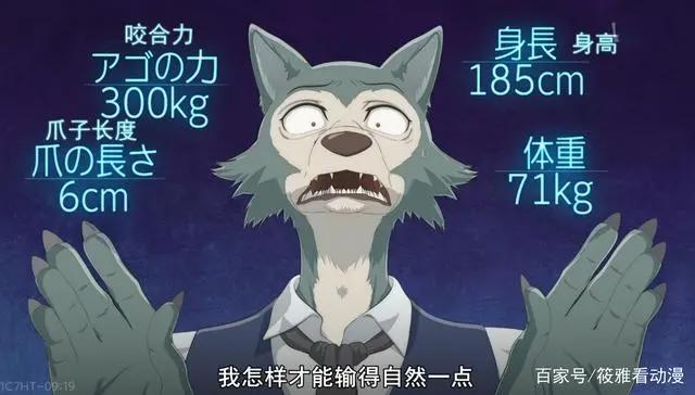 风评被害的宝藏番？《动物狂想曲BEASTARS》，表示有被惊艳到！