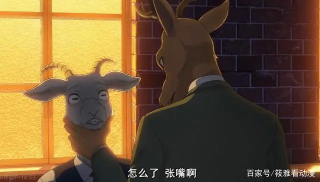 风评被害的宝藏番？《动物狂想曲BEASTARS》，表示有被惊艳到！