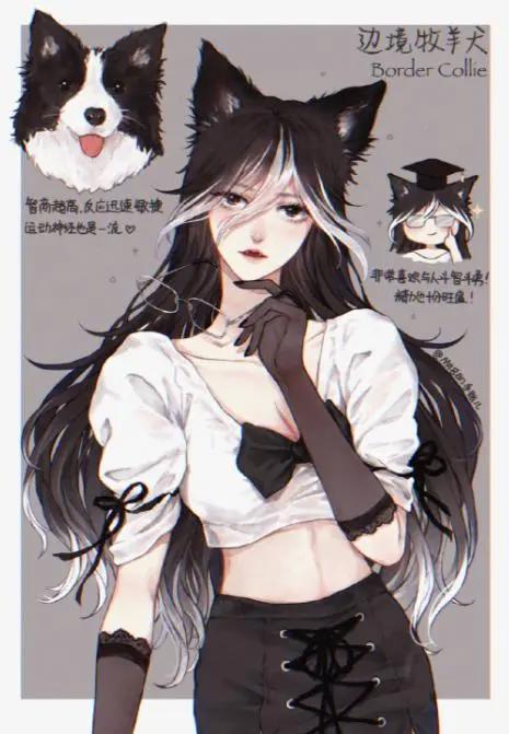 狗狗化身动漫美少女，萨摩变成白毛御姐，短腿柯基好俏皮