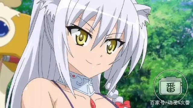 万物皆可萌，动漫中那些可爱的猫耳妹们谁才是你的最爱呢？