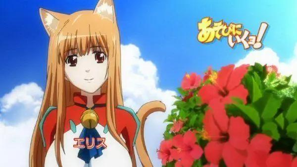 萌即是正义，盘点动漫中的猫耳娘，知道东京喵喵都已经成年了吧