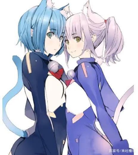 你看的后宫番剧可以是伪后宫番，这些你发现了吗